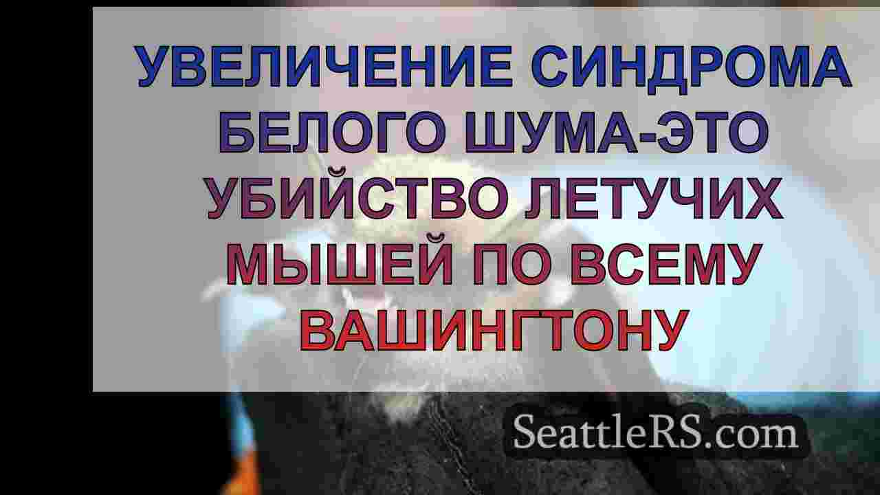 Увеличение синдрома белого шума-это