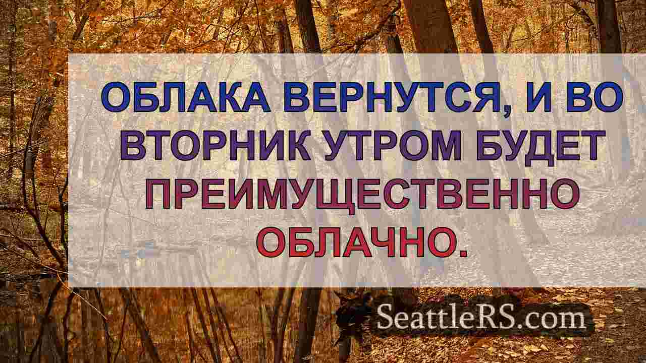 Новости Сиэтла SeattleRS