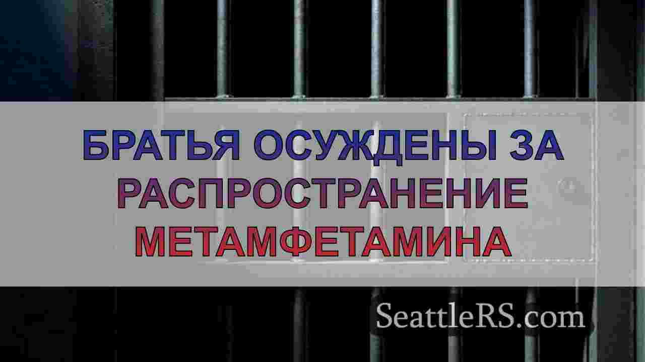 Братья осуждены за распространение