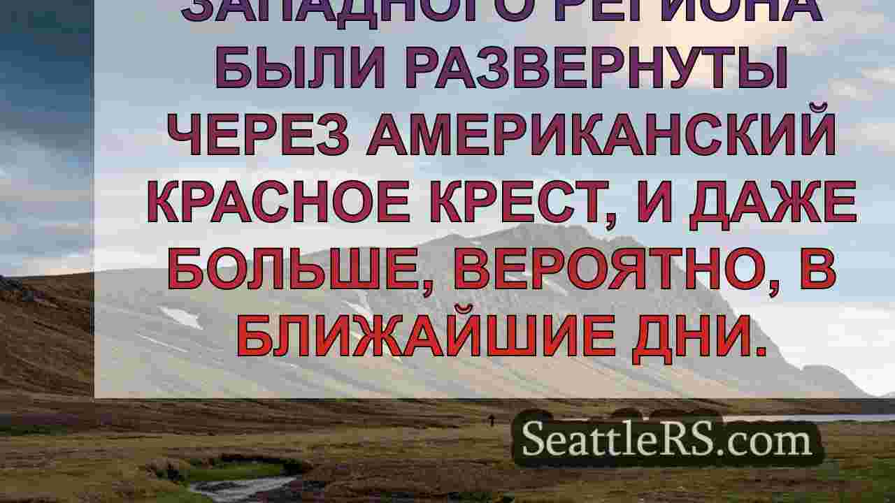 Волонтеры WA, организации, помогающие