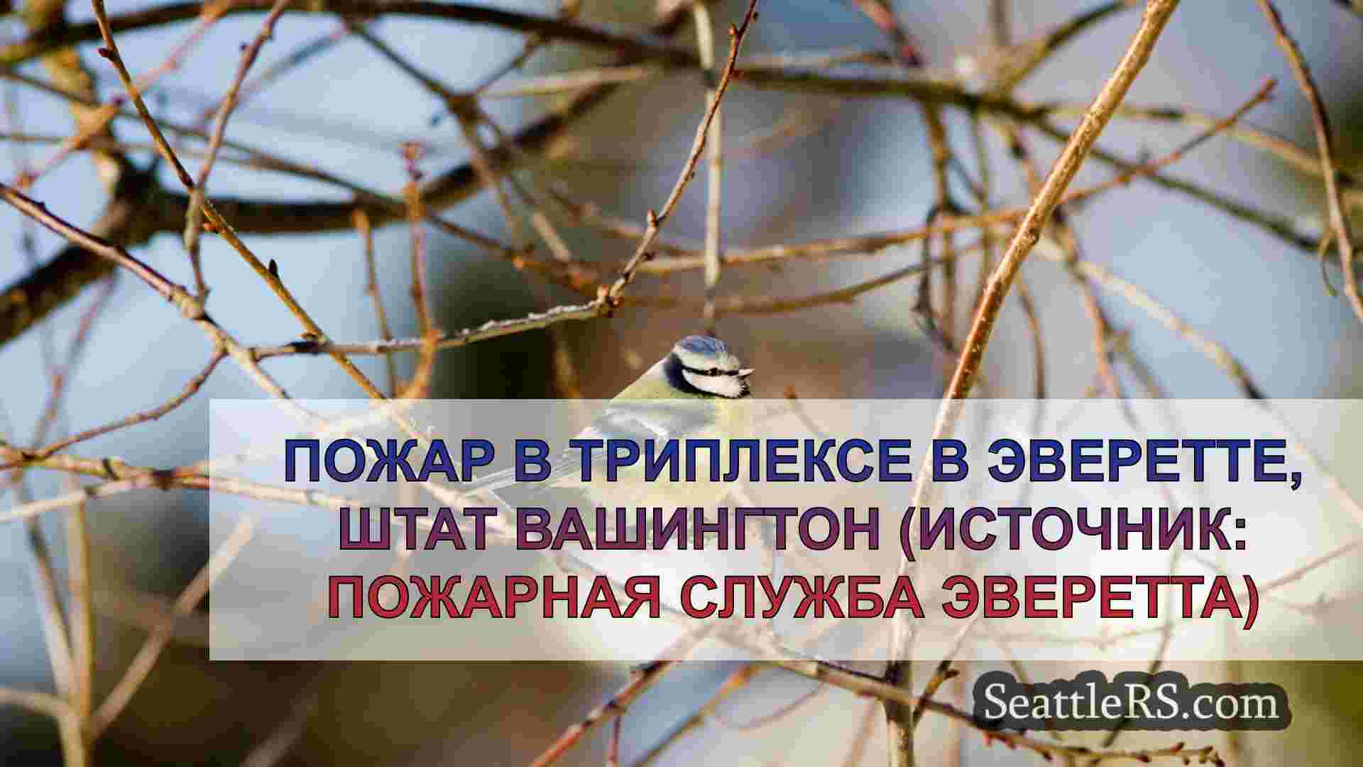 Новости Сиэтла SeattleRS
