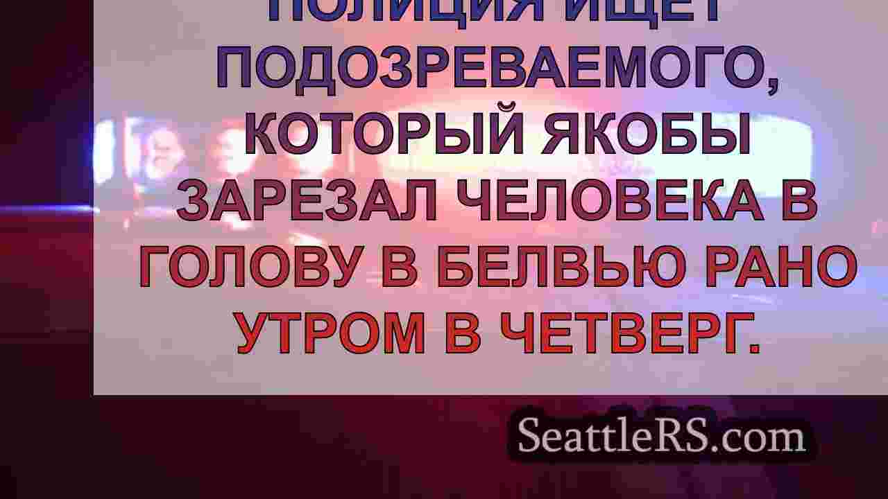 Полиция ищет подозреваемого, который
