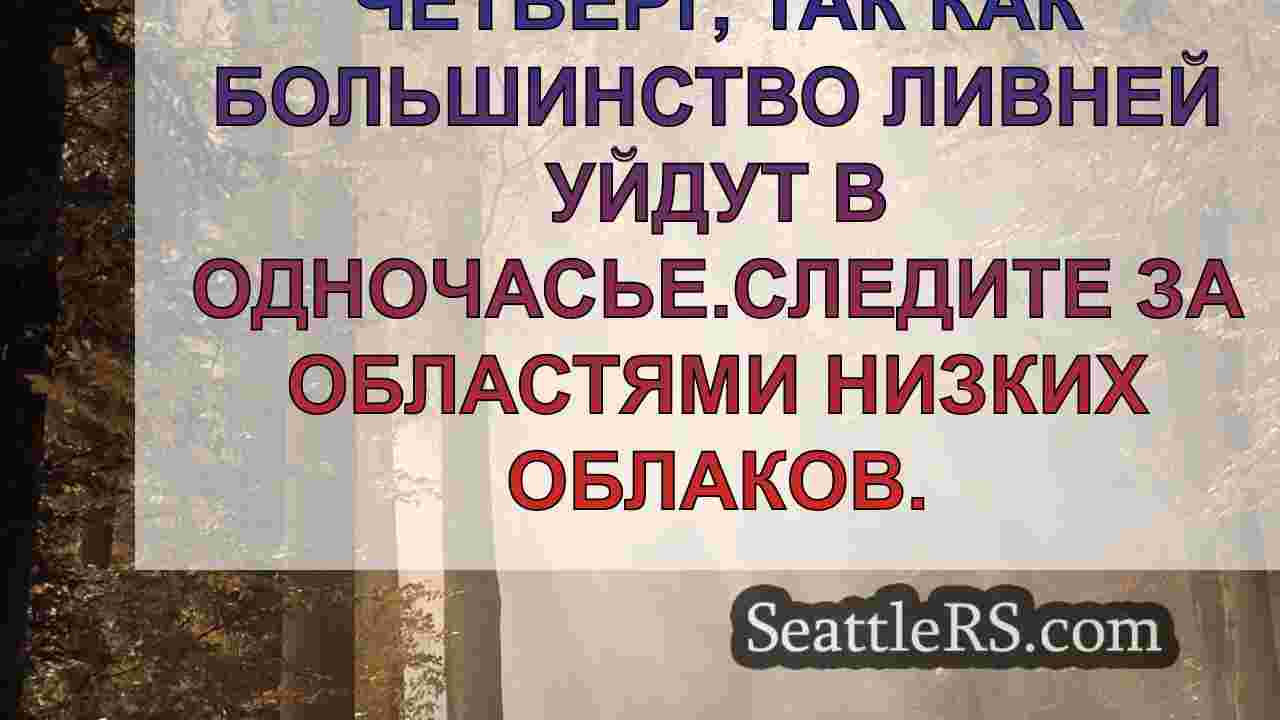 Мокрый, ветреный прогноз погоды к