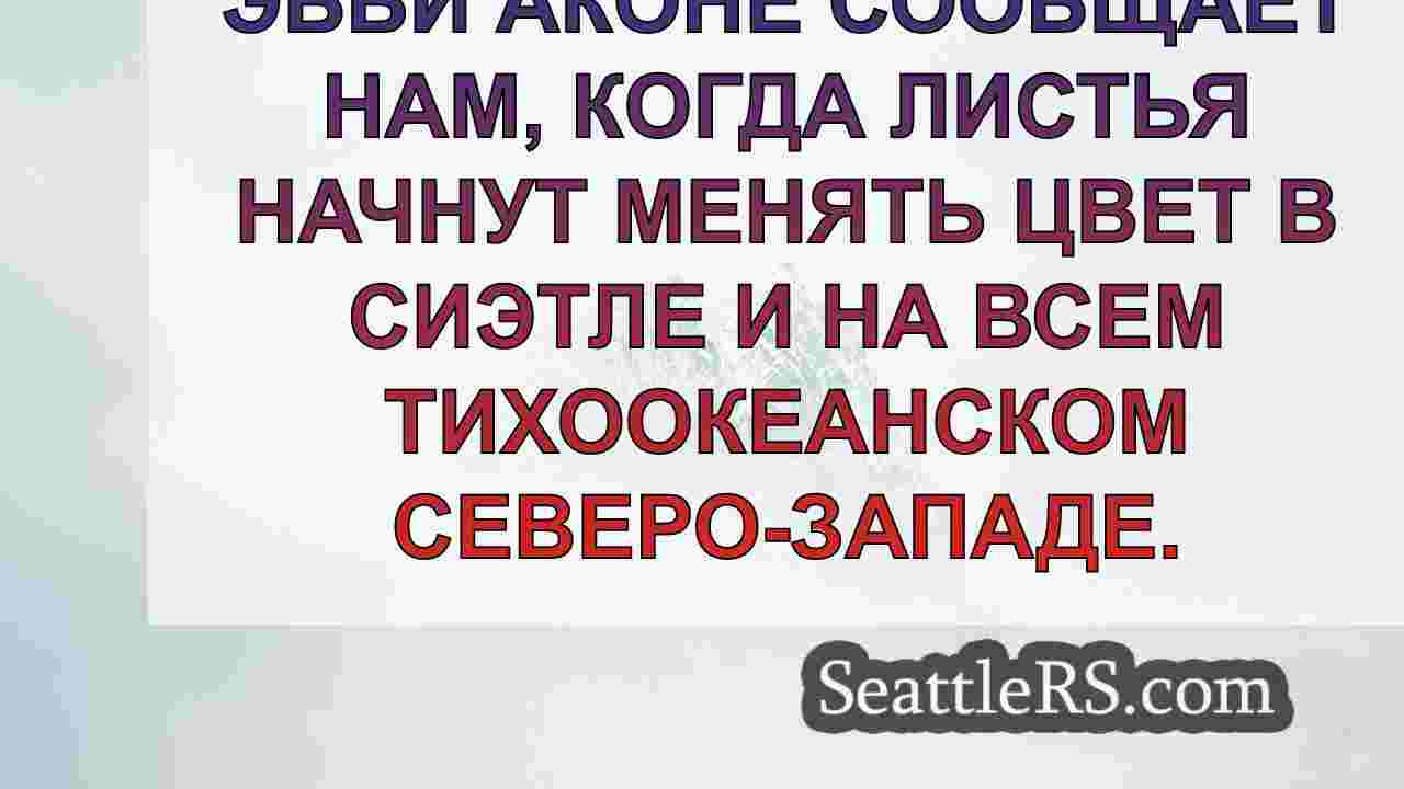Новости Сиэтла SeattleRS