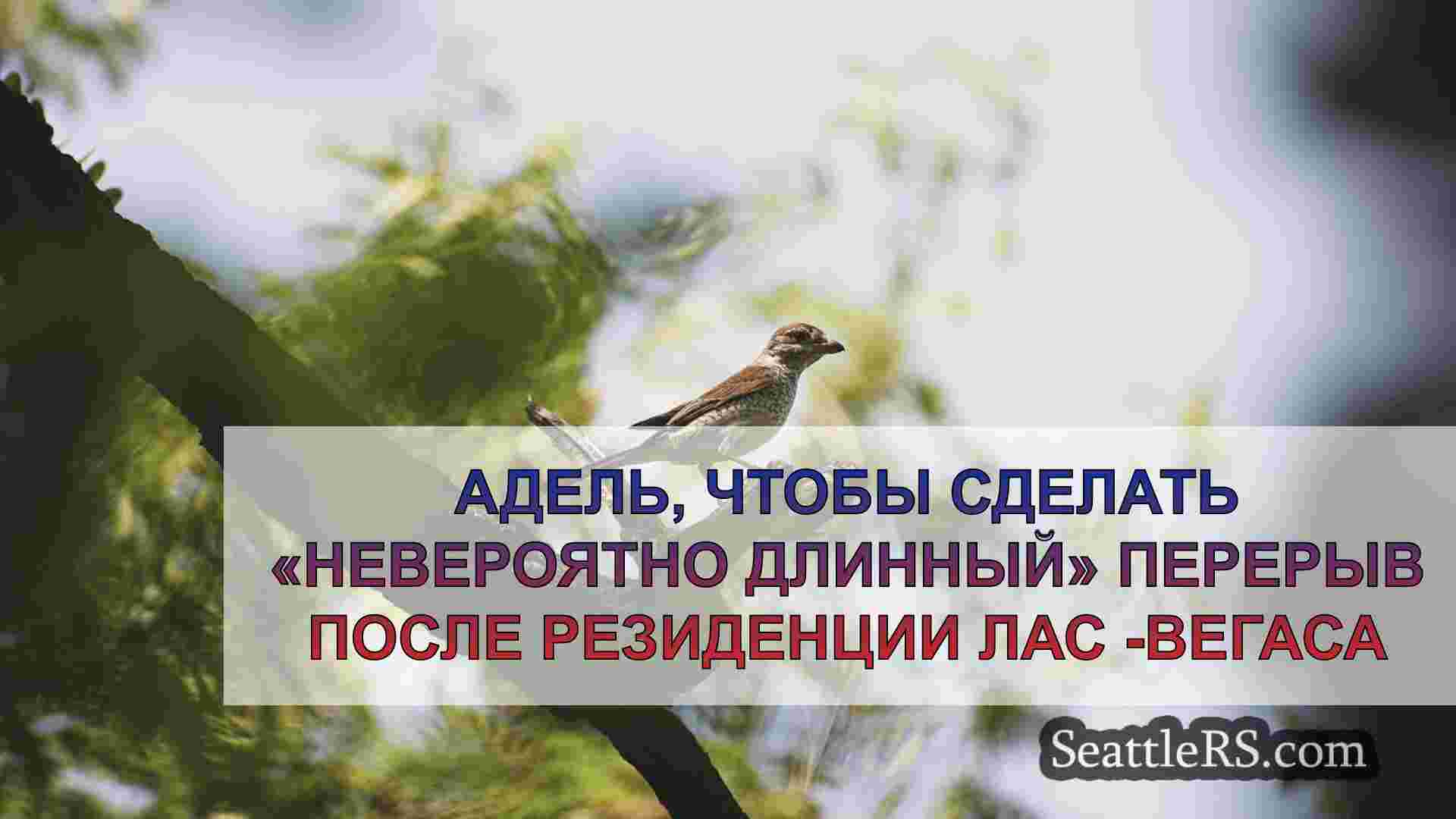 Новости Сиэтла SeattleRS