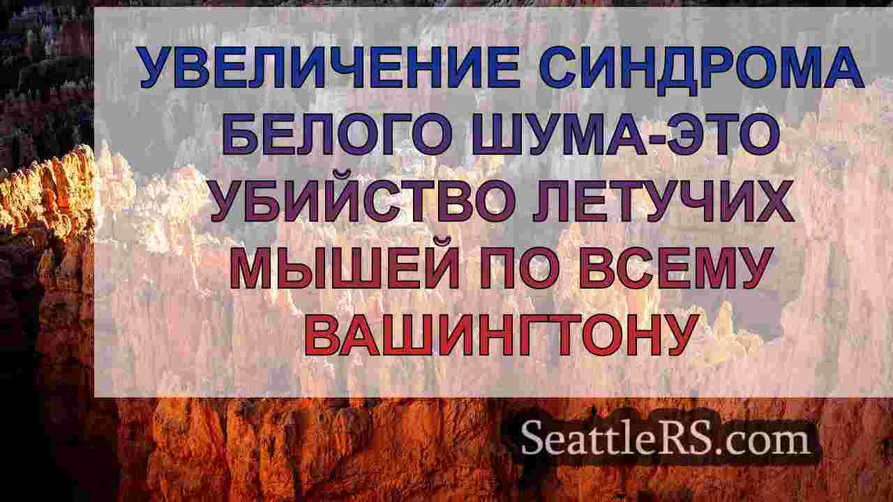 Новости Сиэтла SeattleRS