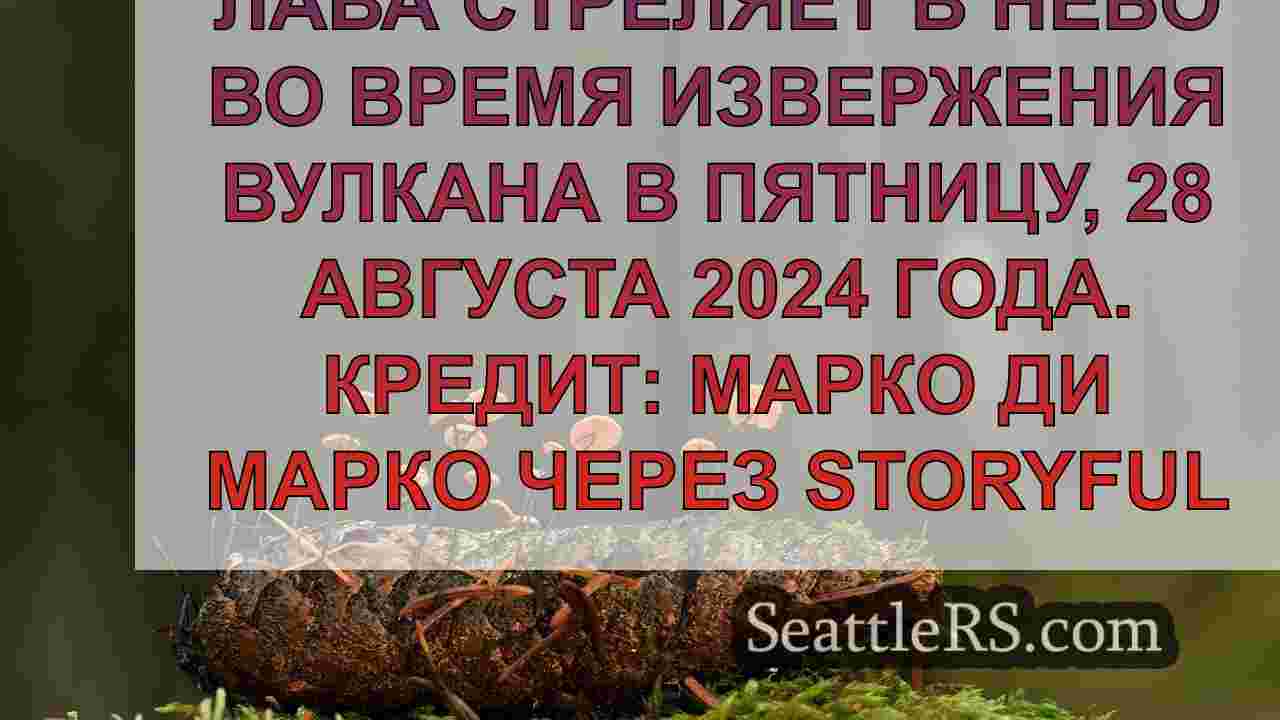 Новости Сиэтла SeattleRS