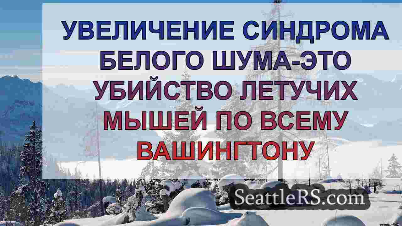 Новости Сиэтла SeattleRS