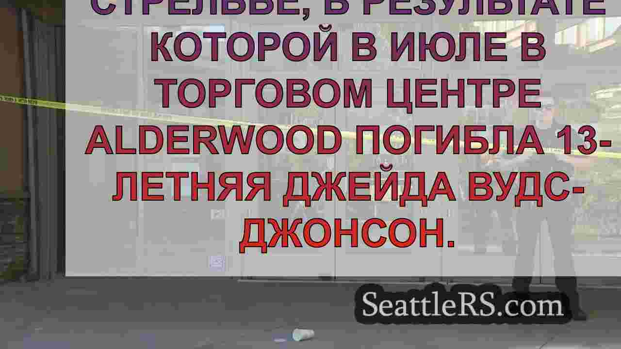 Новые видеозаписи с камер наблюдения