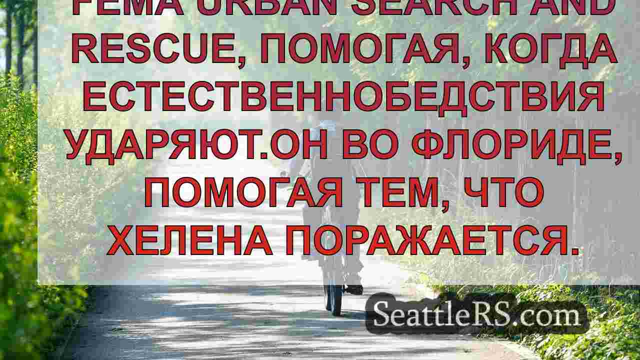 Есть много необходимости »: