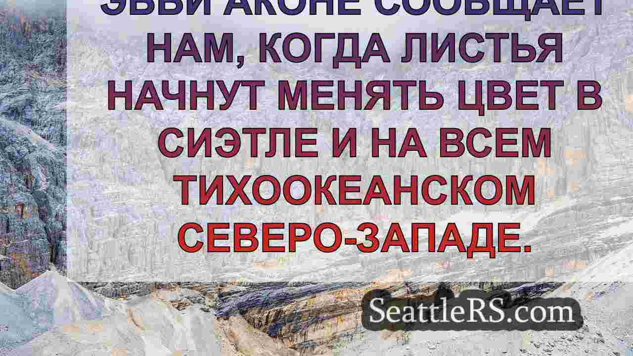 Вот когда осенние листья достигнут пика