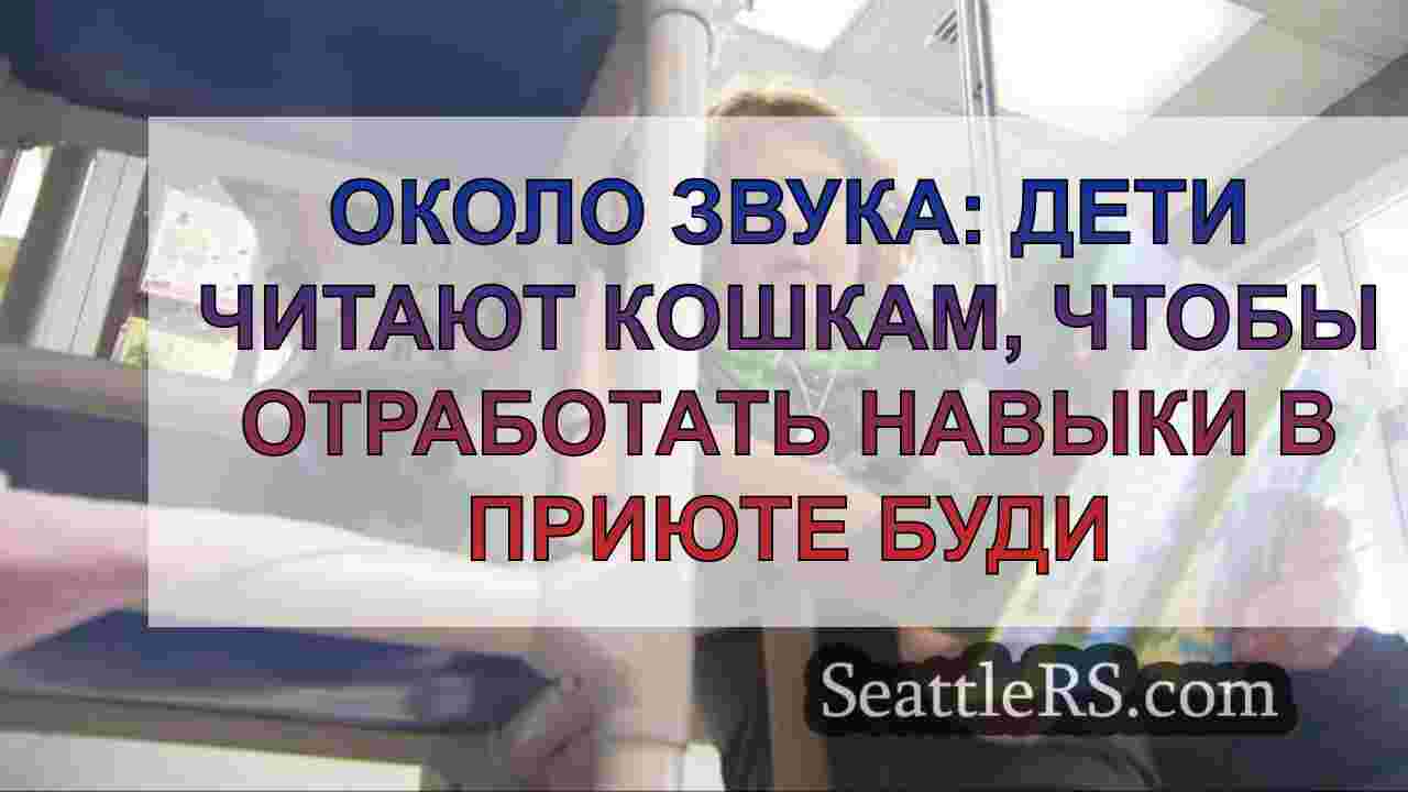 Около звука: Дети читают кошкам, чтобы