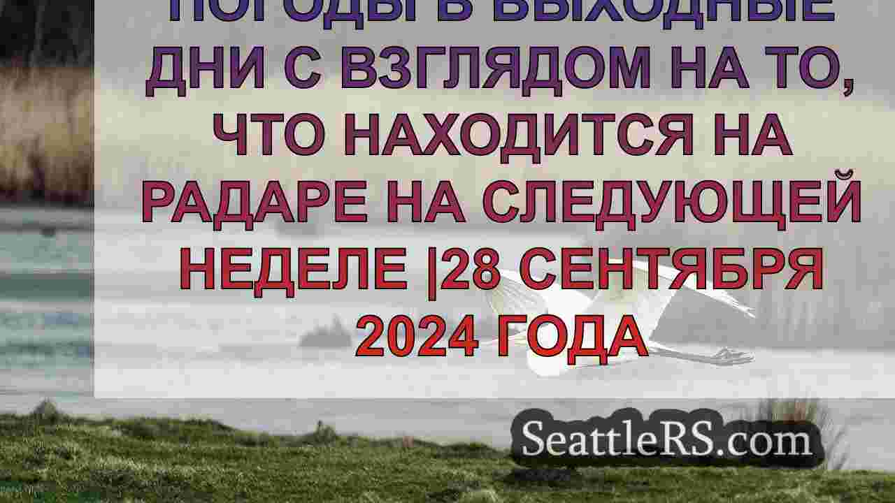 Новости Сиэтла SeattleRS