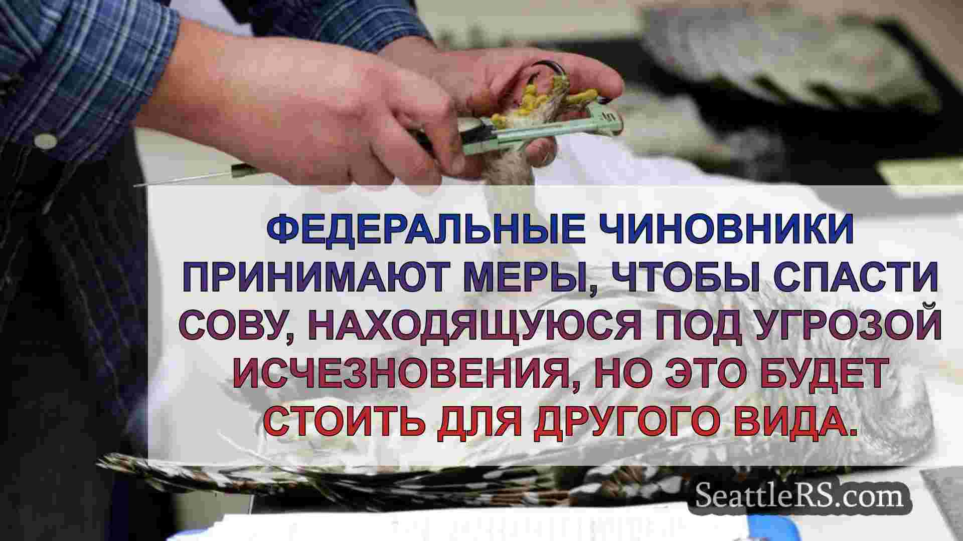 Может ли новый план управления OWL