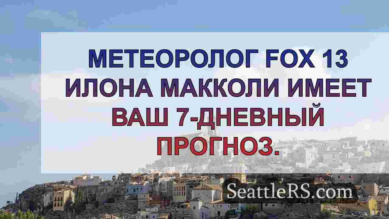Погода в Сиэтле: дождь, свежие ветры и