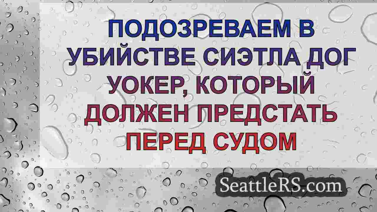 Подозреваем в убийстве Сиэтла Дог