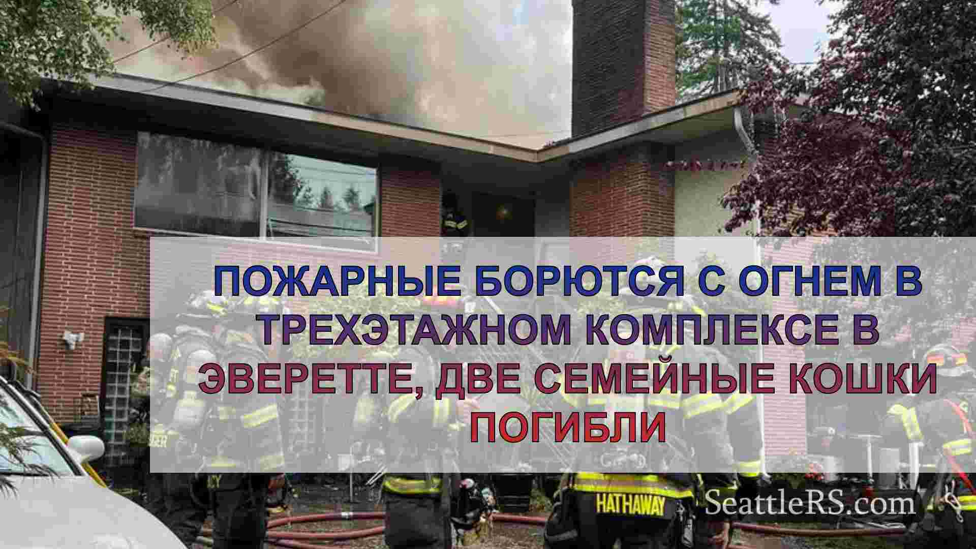 Пожарные борются с огнем в трехэтажном