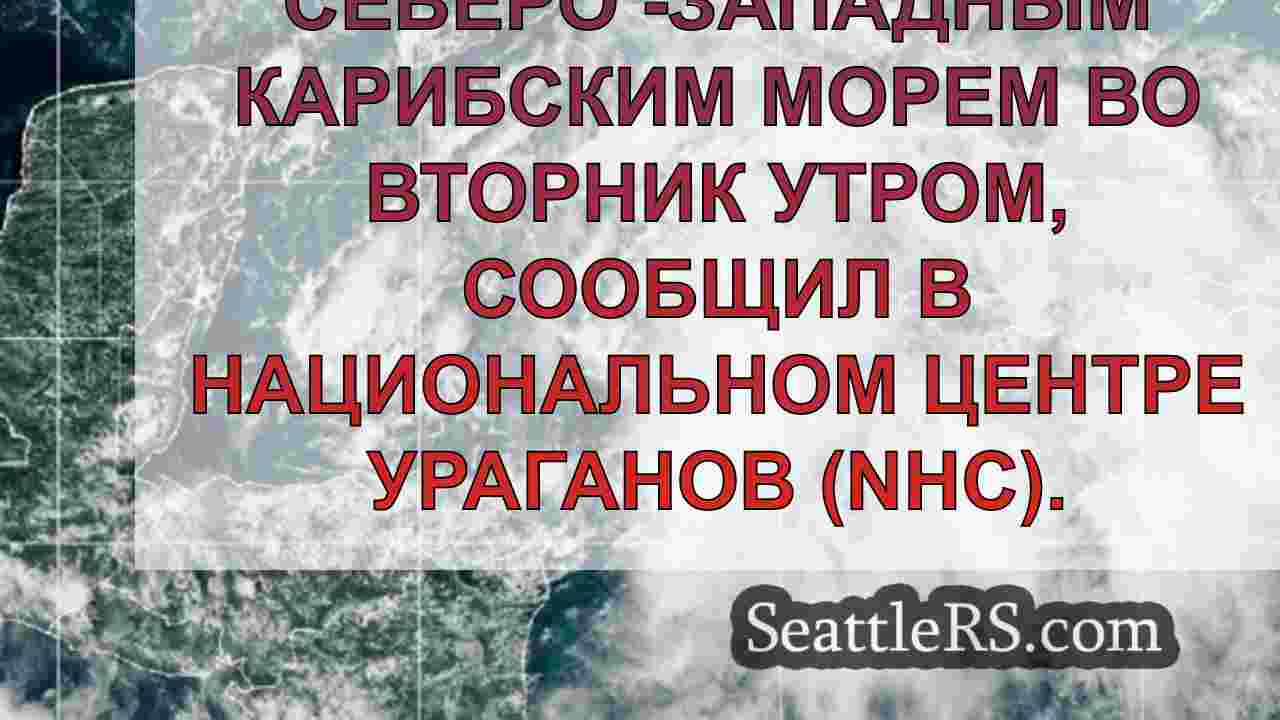 Живые обновления: формы Tropical Storm