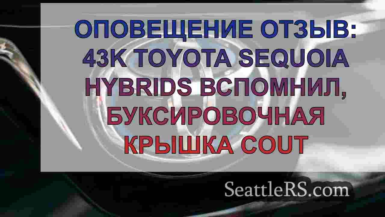 Оповещение отпомнения: 43K Hybrids