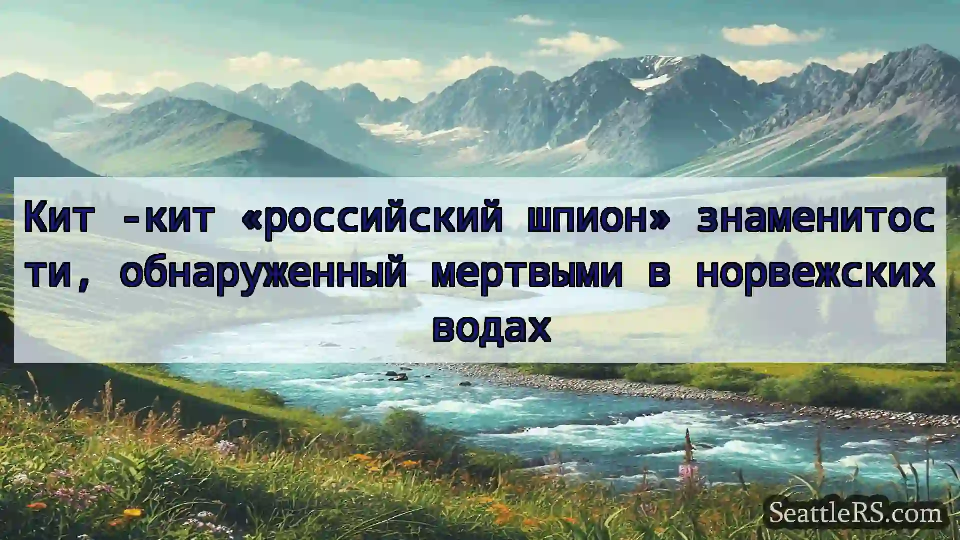 Сиэтл новости Кит -кит «российский шпион»