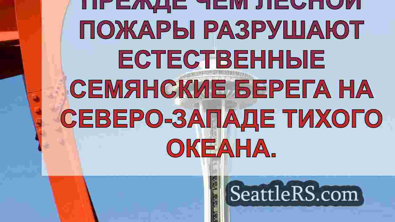Новости Сиэтла SeattleRS