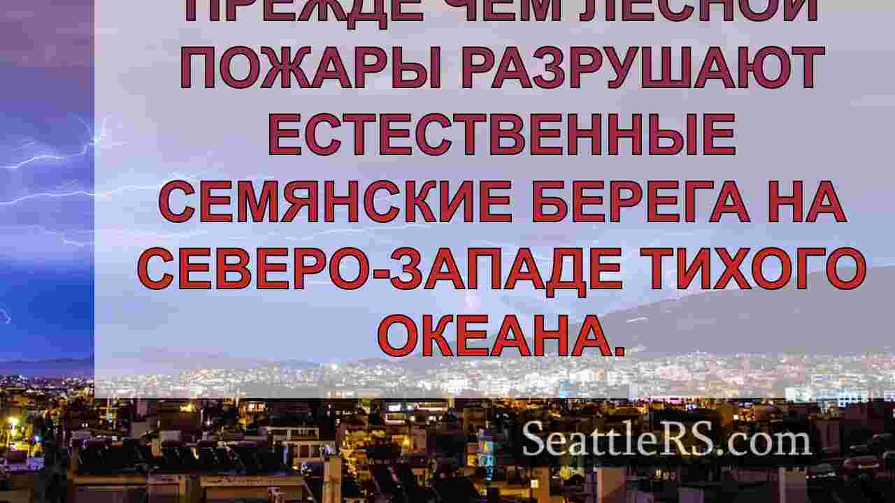 Новости Сиэтла SeattleRS