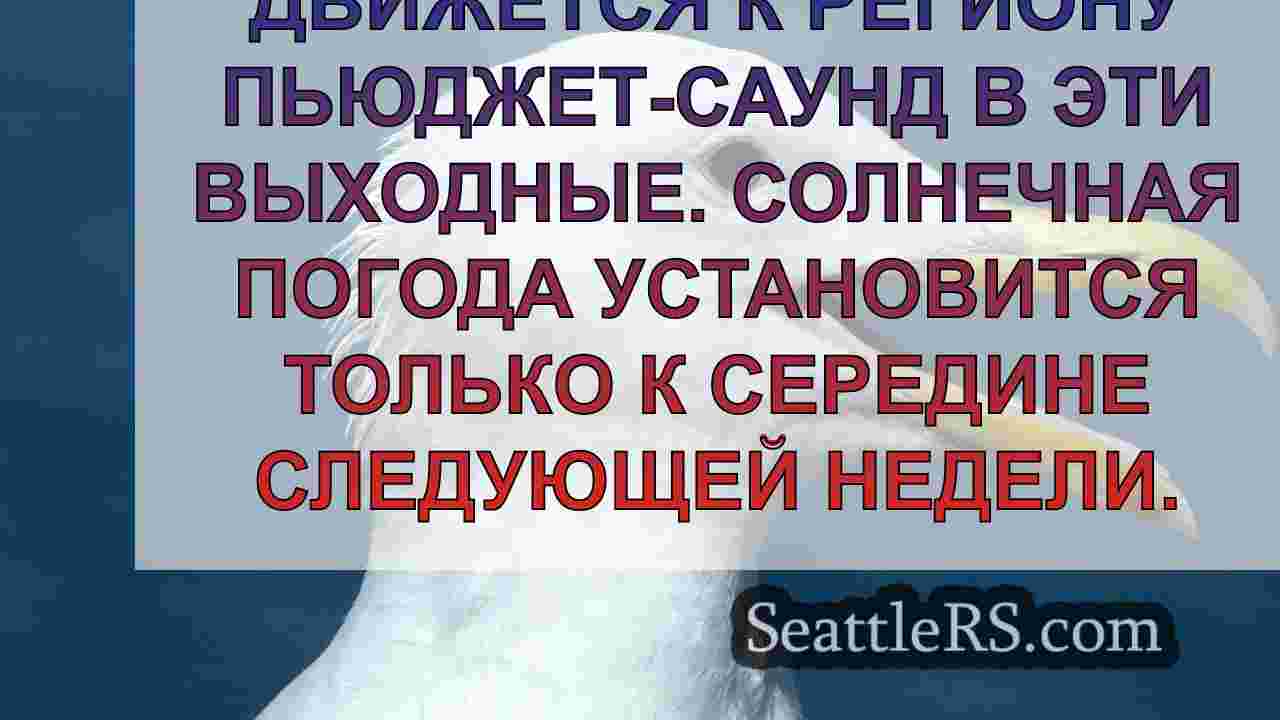В западной части Западного ОАГ