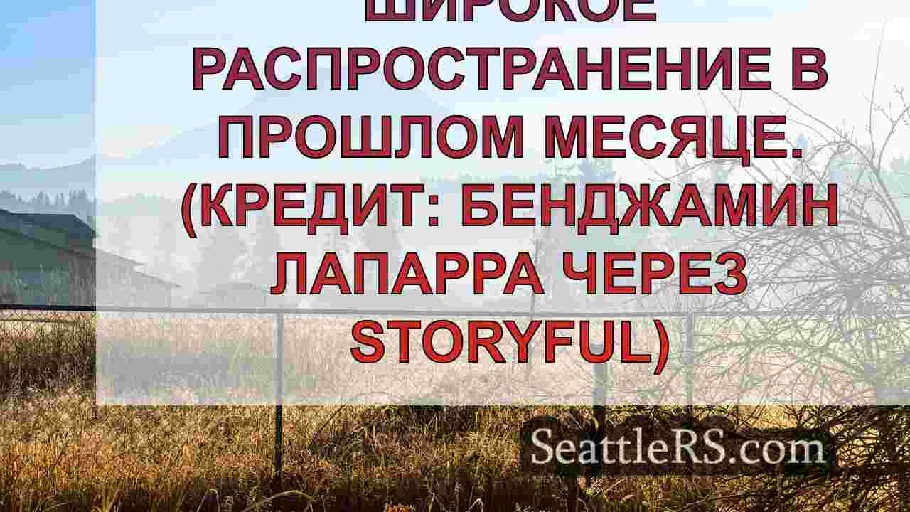 Новости Сиэтла SeattleRS