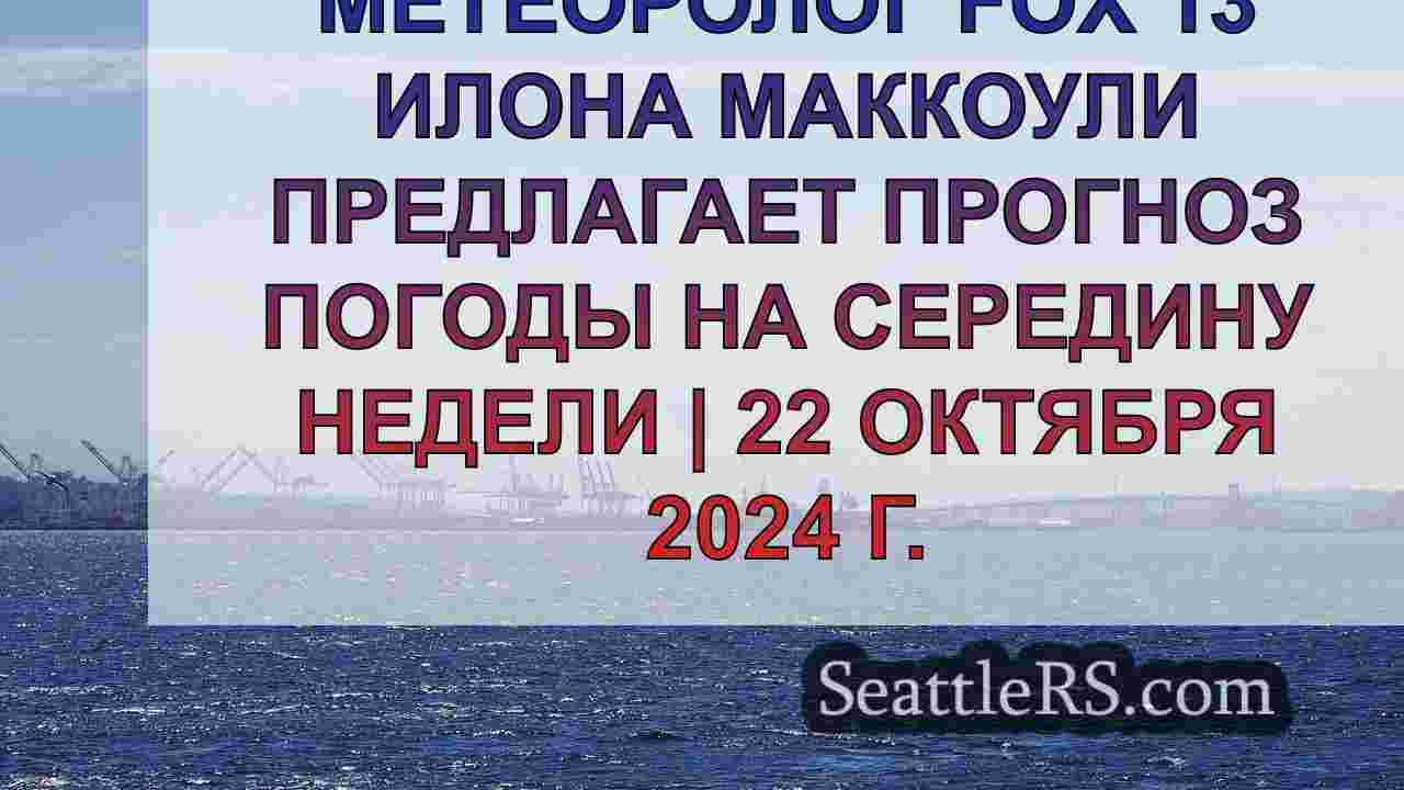 Погода в Сиэтле: Прохладное утро,