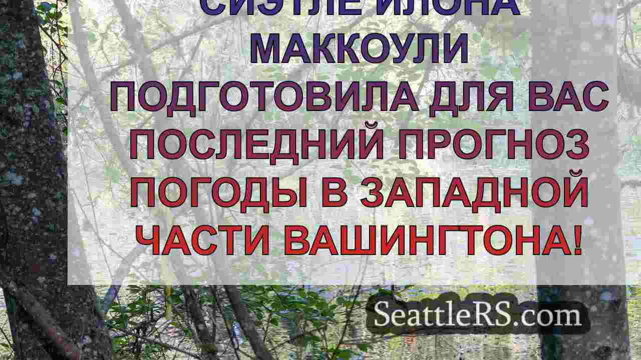 Погода в Сиэтле: Спокойное начало