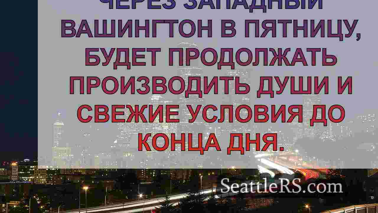 Погода в Сиэтле: влажная и свежая