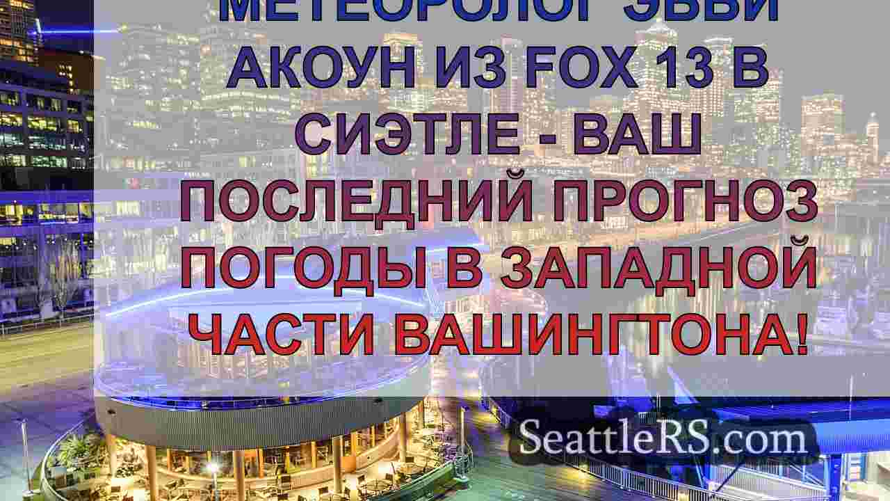 Серые небеса, дождь и порывистая погода