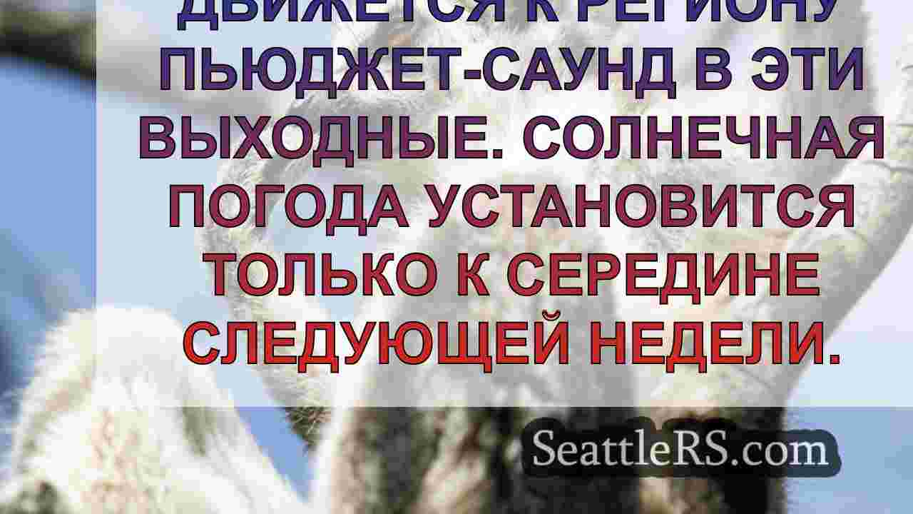 Новости Сиэтла SeattleRS