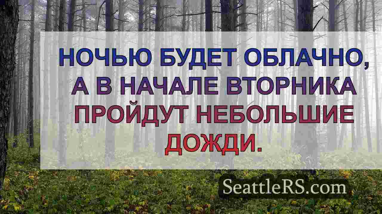 Новости Сиэтла SeattleRS