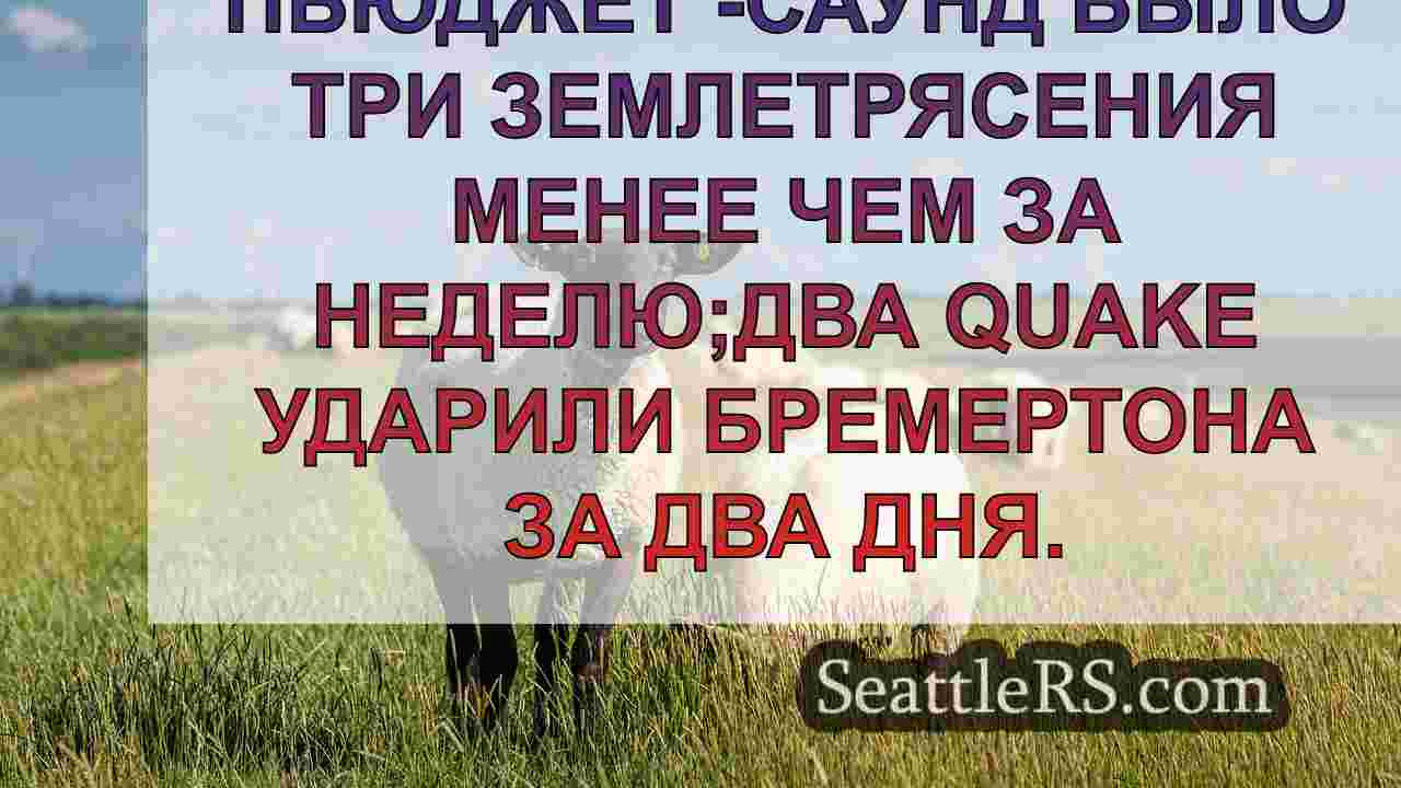 Бремертон, штат Вашингтон ударил вторым