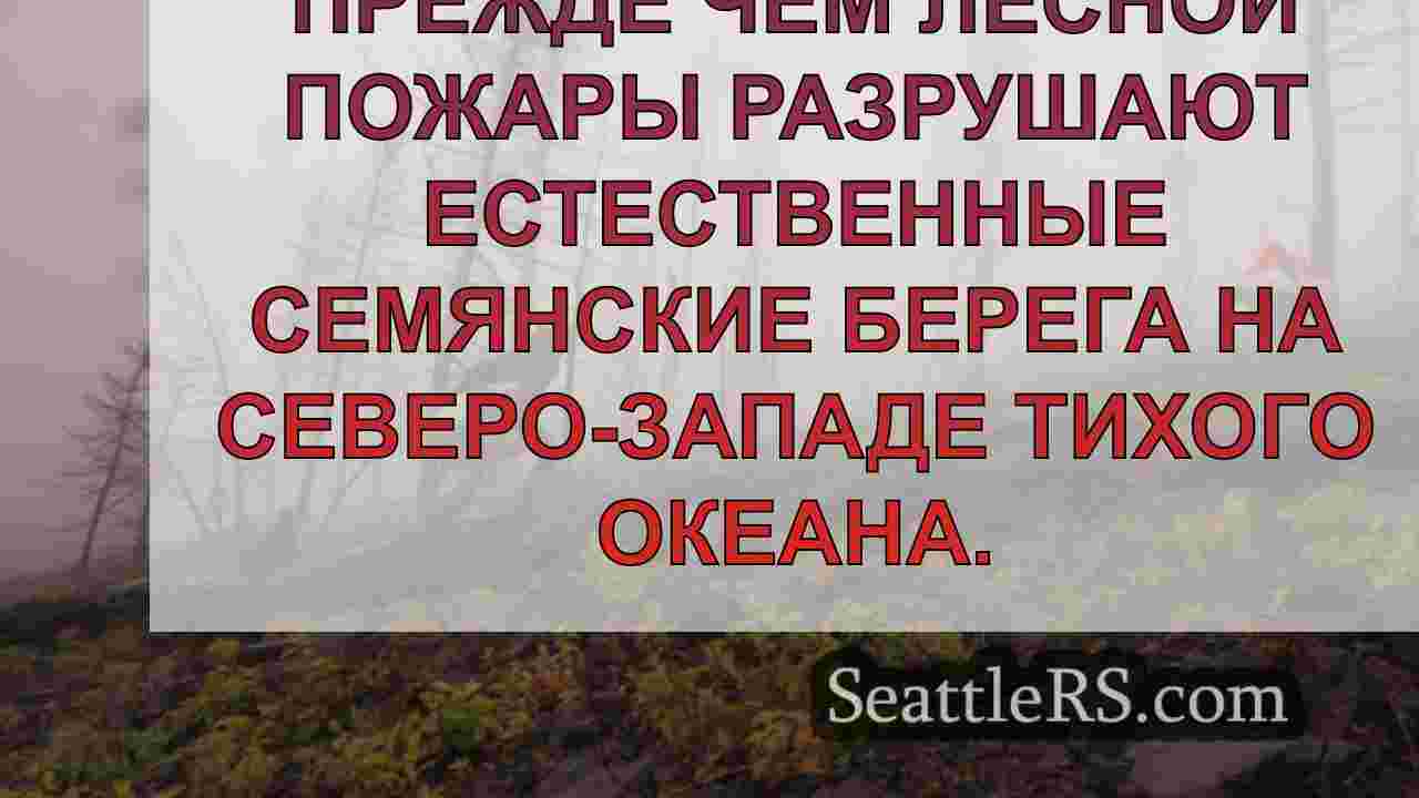 Предприятия WA обращаются к