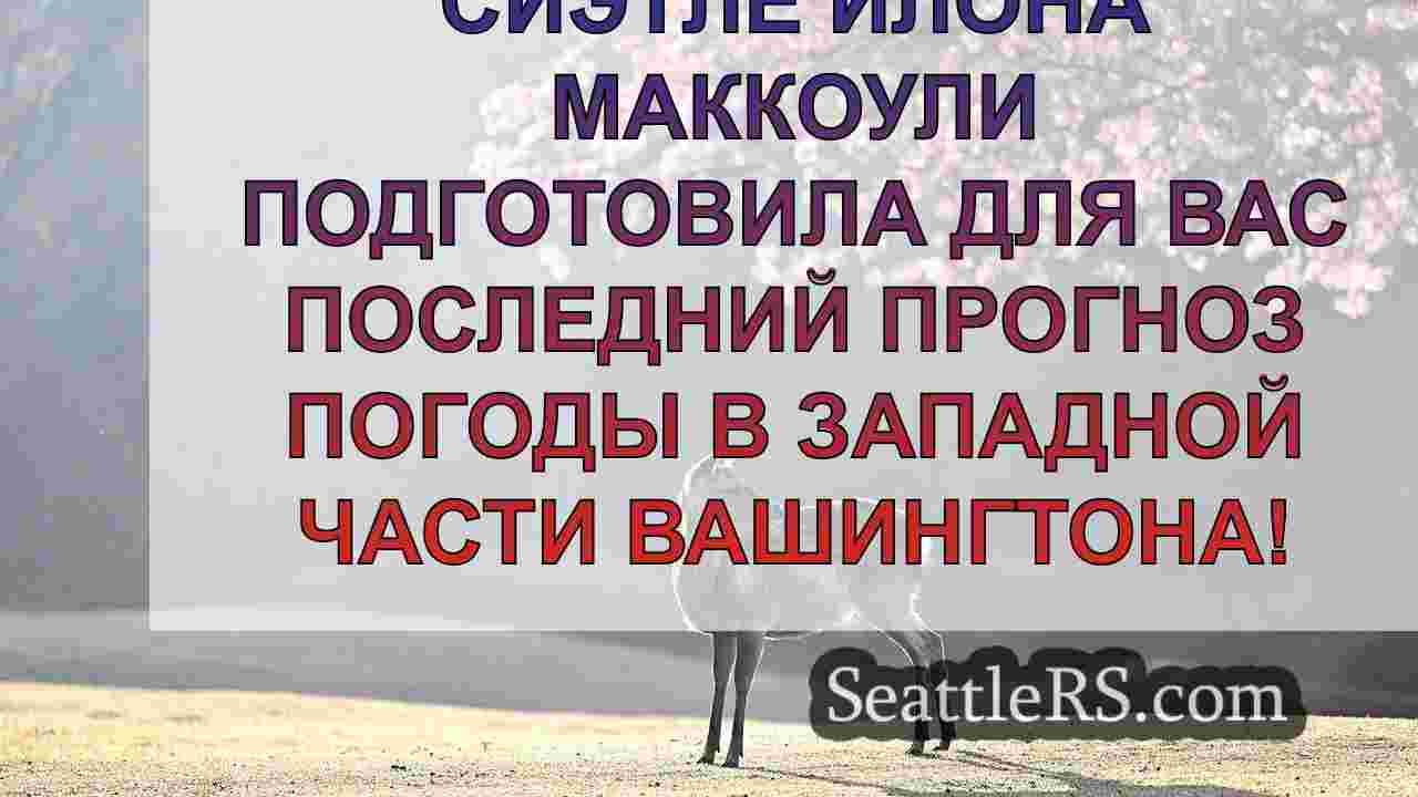 Новости Сиэтла SeattleRS