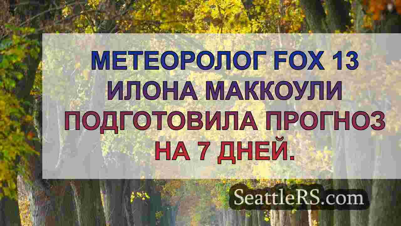 Погода в Сиэтле: Отличная осенняя