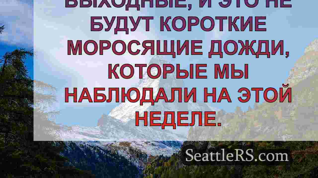 Погода в Сиэтле: Влажные и ветреные