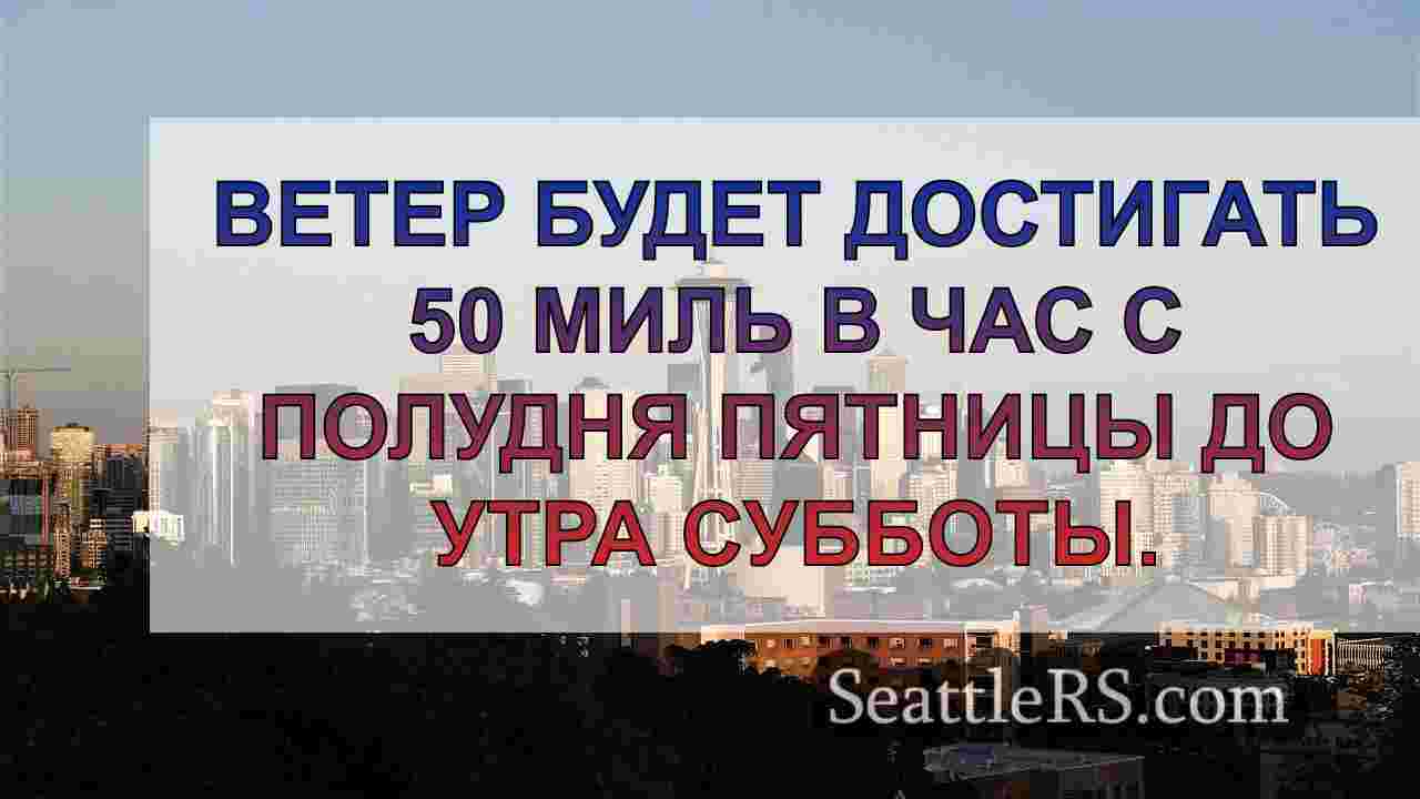 Погода в Сиэтле: Порывистый ветер и