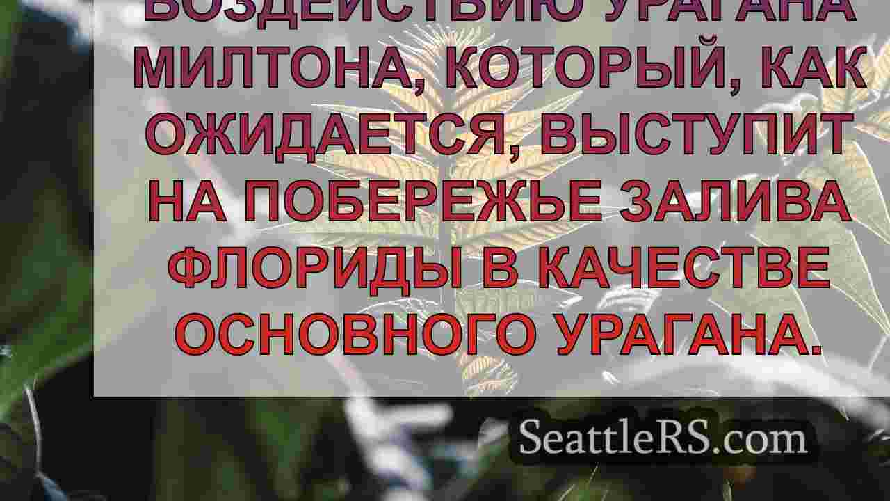 Новости Сиэтла SeattleRS