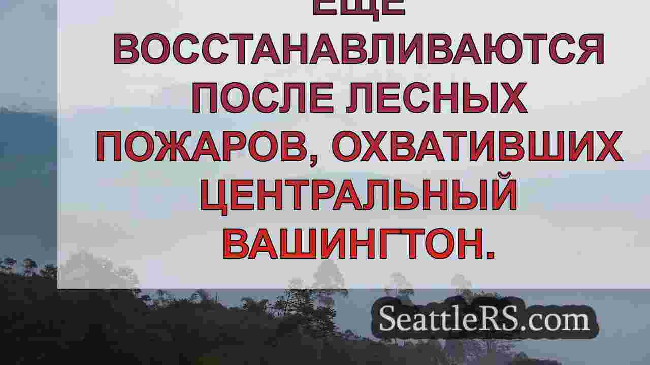 Налоговое управление предоставило
