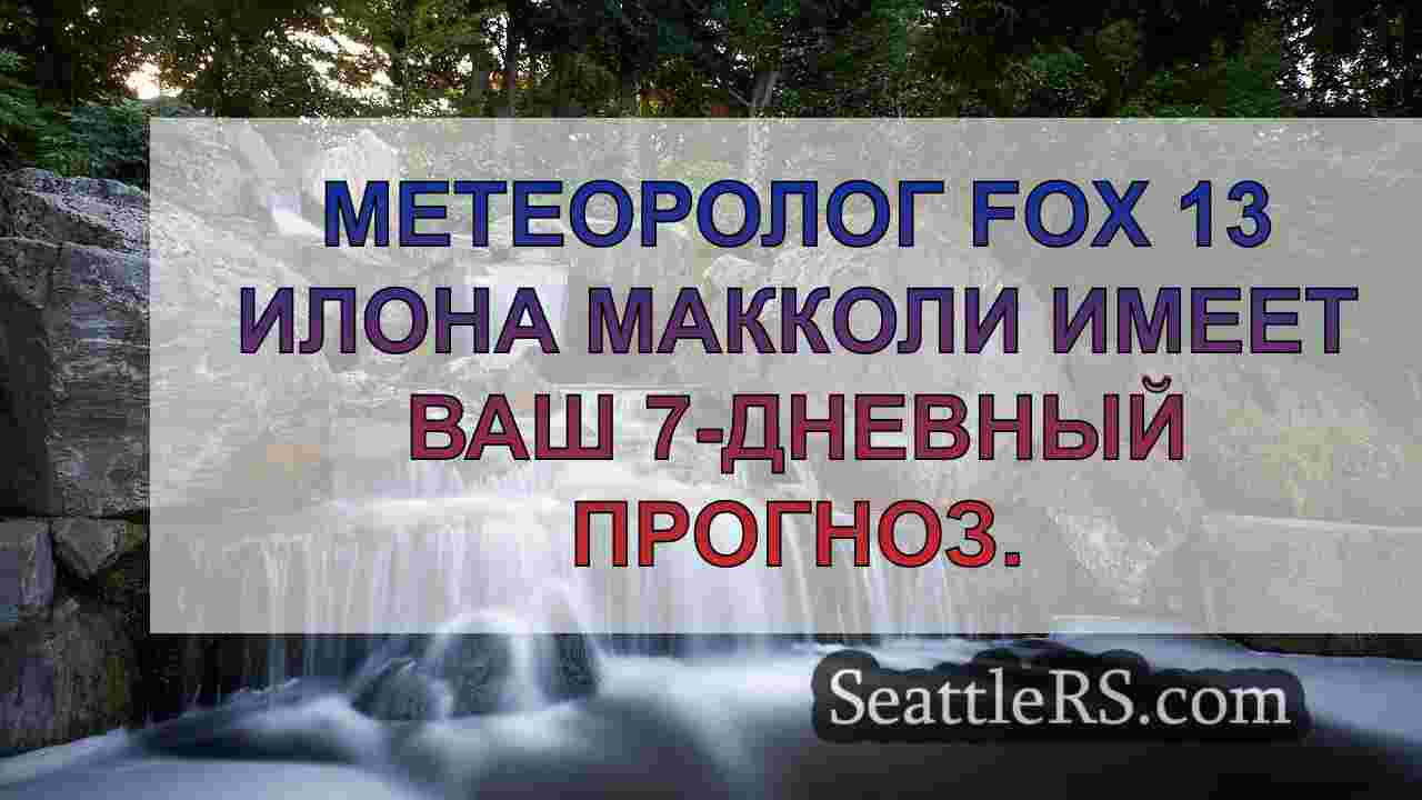 Погода в Сиэтле: влажное утро с свежими