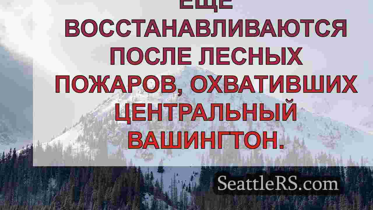 Новости Сиэтла SeattleRS