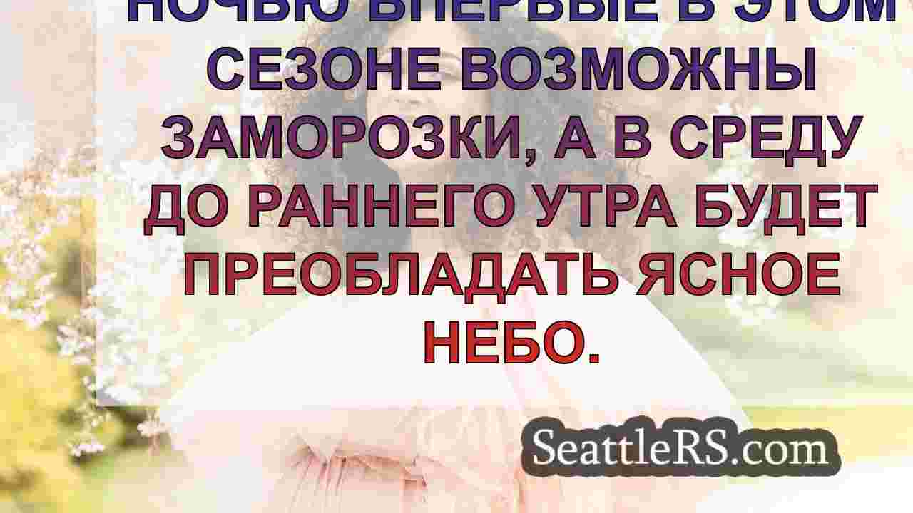 Погода в Сиэтле: Первый заморозок в