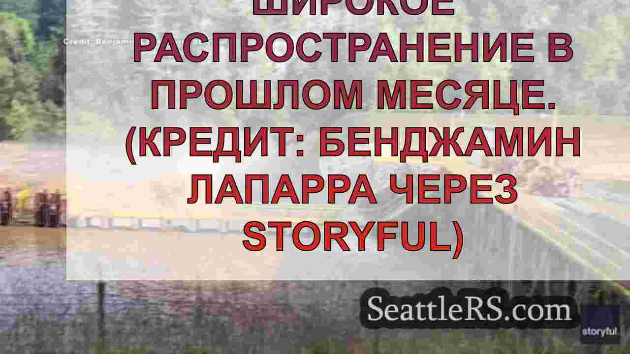 RV Camper вышел в реку Вирджиния,