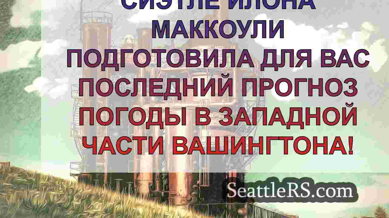 Погода в Сиэтле: Прохладные и дождливые