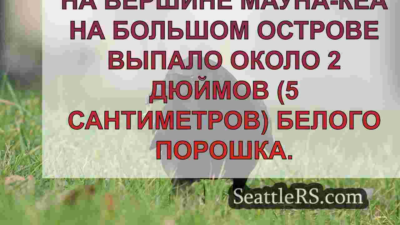 Зима пришла: Снег покрывает гавайскую
