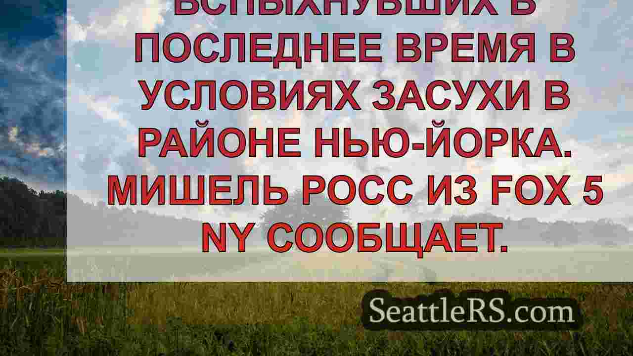 Последние новости о лесных пожарах: