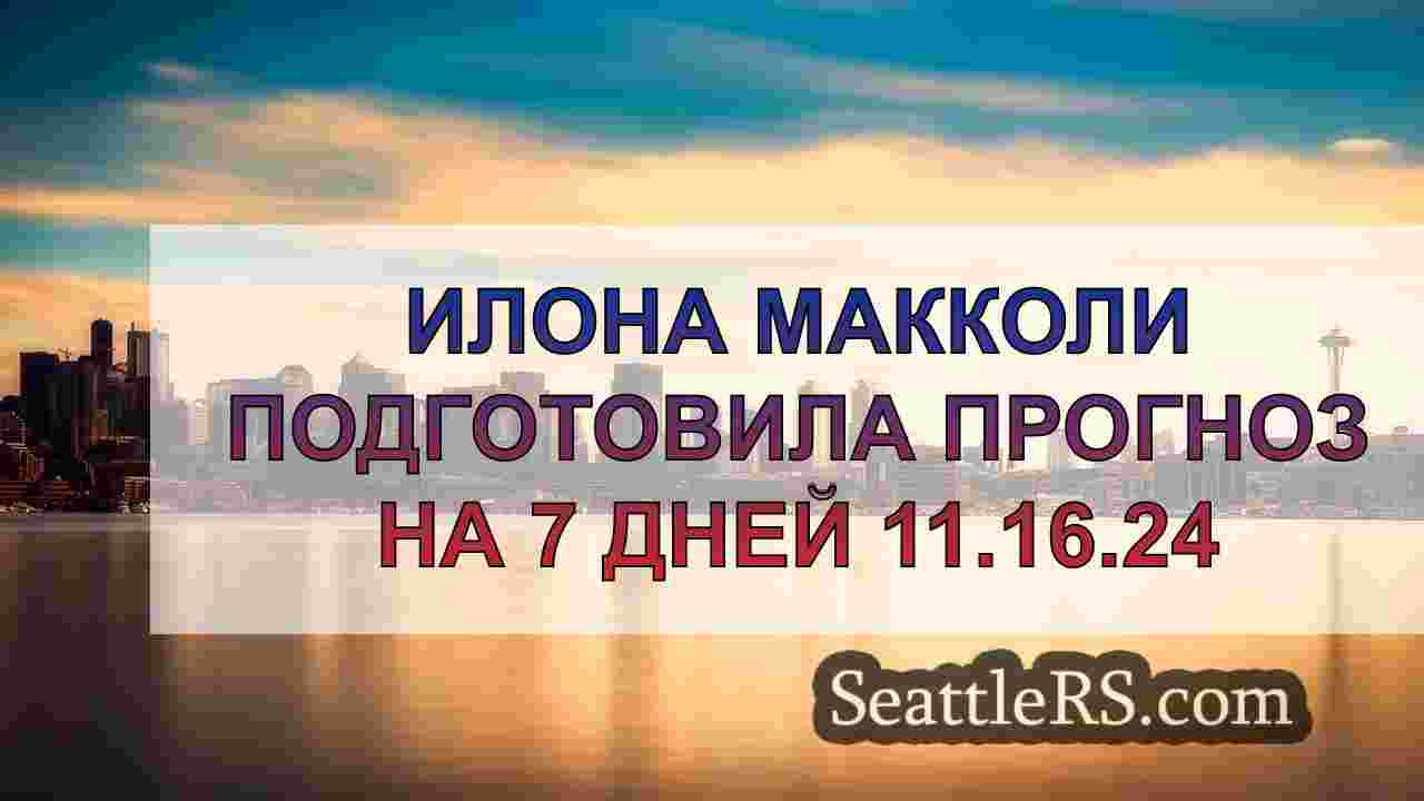 Снежные бури повлияют на дорожную